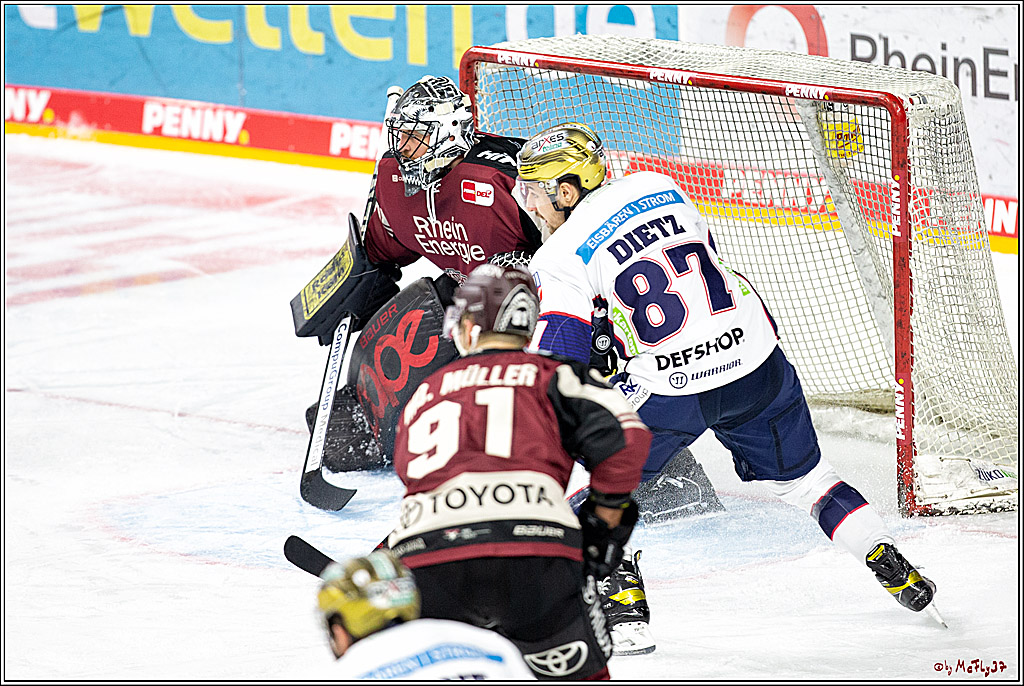 PENNY DEL;  Koelner Haie - Eisbaeren Berlin; Koeln, 19.02.2021